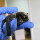 В ВКО в санэпидслужбе высказались по поводу эпидситуации в Индии