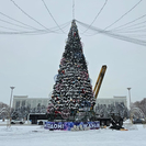 В Усть-Каменогорске демонтируют новогоднюю ёлку