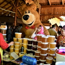 Сразу несколько фестивалей мёда проведут в ВКО в этом году