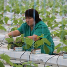 В ВКО появится новый тепличный комплекс