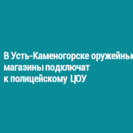 В Усть-Каменогорске оружейные магазины подключат к полицейскому ЦОУ
