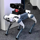 В ВКО робот-сапёр обойдётся бюджету в 1 миллиард 750 миллионов тенге