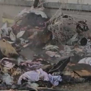 В Усть-Каменогорске горит «странная» квартира: из жилья вытащили кучи хлама