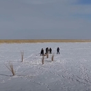 В ВКО на озере Зайсан провели аэрацию воды