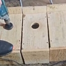 В ВКО лесники устанавливают скворечники