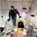 Житель ВКО на территории дома организовал фитолабораторию по выращиванию запрещенных растений