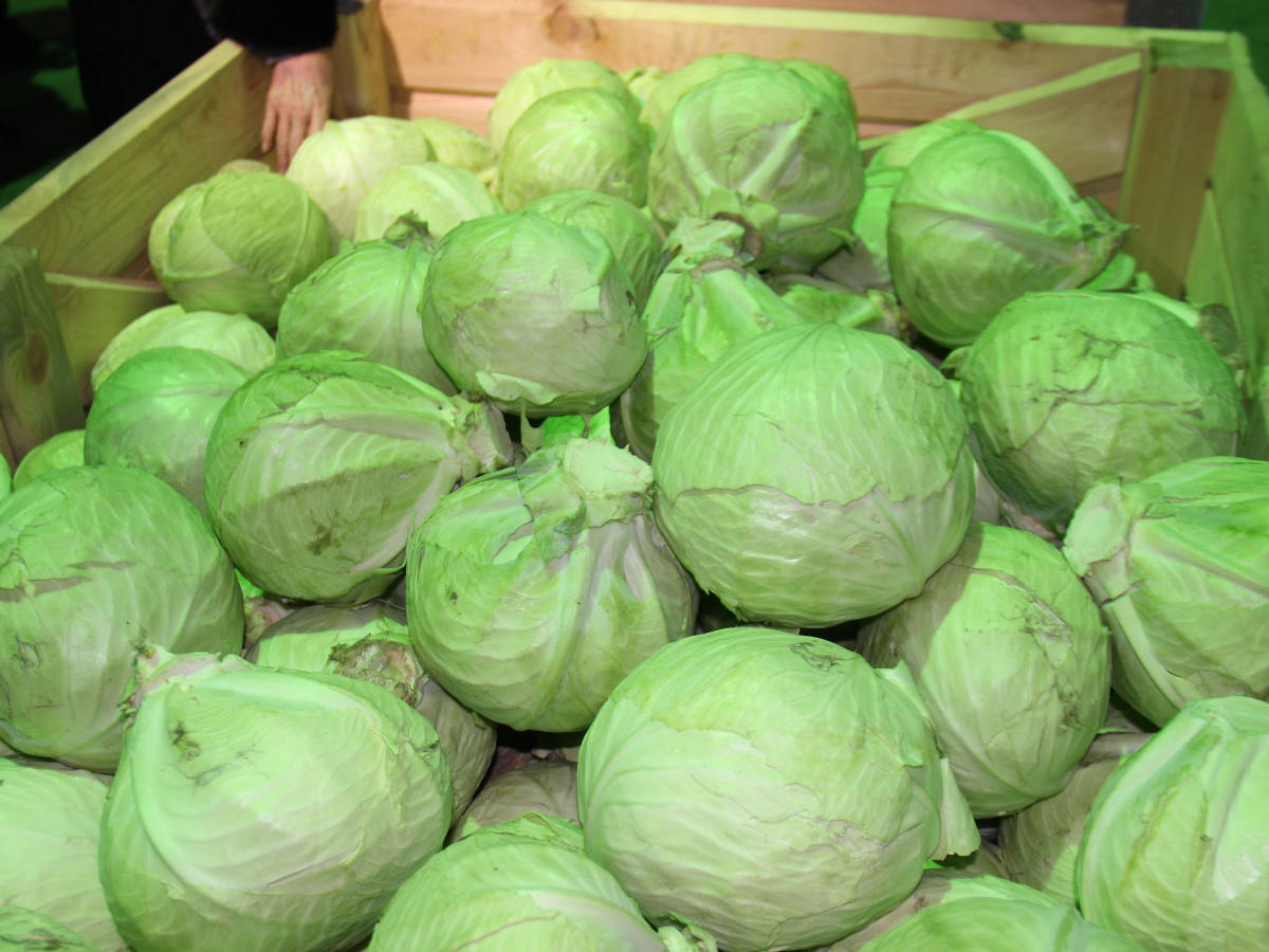 В ВКО оштрафовали предпринимателя, продававшего овощи с 92-процентной надбавкой