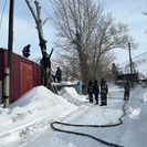 Дерево тушили пожарные в ВКО