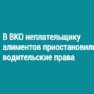 В ВКО неплательщику алиментов приостановили водительские права