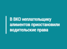 В ВКО неплательщику алиментов приостановили водительские права