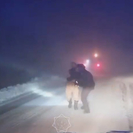 На Самарской трассе автомобилистам потребовалась помощь спасателей