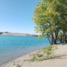 В Усть-Каменогорске популярный пляж ожидает новый этап благоустройства