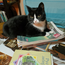 В ВКО ожидаются морозы: при какой температуре школьники остаются дома?