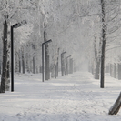 ВКО. В некоторых районах столбики термометров опустились до минус 42 градусов