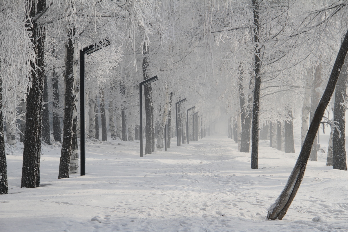ВКО. В некоторых районах столбики термометров опустились до минус 42 градусов