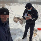 В Усть-Каменогорске полицейские в морозы забирают с улиц бездомных