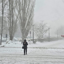 Снег и метель прогнозируют в ВКО 