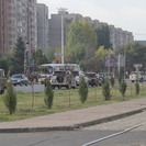 В Усть-Каменогорске проведут инвентаризацию зеленых насаждений