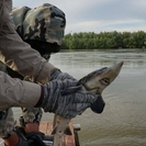 В ВКО продолжится зарыбление Чёрного Иртыша