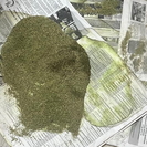 В Риддере в одной из квартир полицейские нашли свертки с высушенной марихуаной