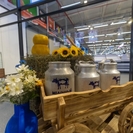 Шығыс Қазақстанда сүтті өңдеу саласы қарқынды дамып келеді 