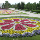 В Усть-Каменогорске продается ТОО «Озеленитель»