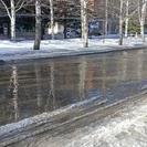 Какая погода ожидается в ВКО в апреле?