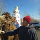 ВКО. Караван с верблюдами стал гвоздём программы на праздновании Наурыза в Бозанбае