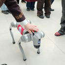 В Усть-Каменогорске проходит выставка цифровых проектов