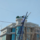 На площади Республики в Усть-Каменогорске выступают канатоходцы