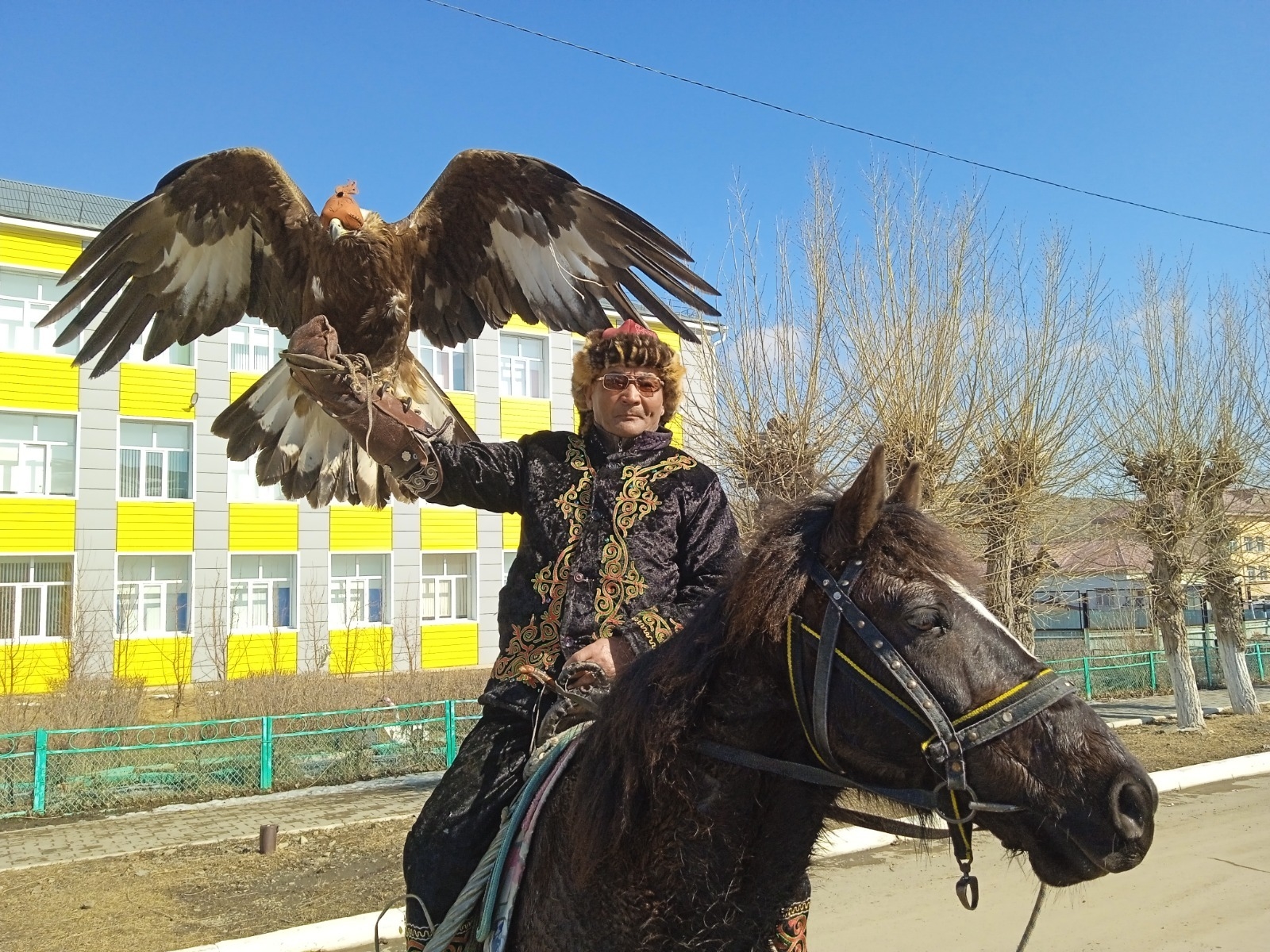 В ВКО семья из Бозанбая возрождает искусство беркутчи