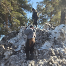 В ВКО сотрудники лесничеств сооружают снежники