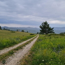 В ВКО планируется создать геопарк