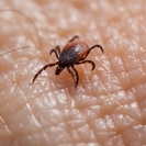 В ВКО имеется достаточное количество иммуноглобулина — облздрав