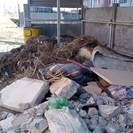 Аким Усть-Каменогорска поручил обеспечить своевременный вывоз мусора