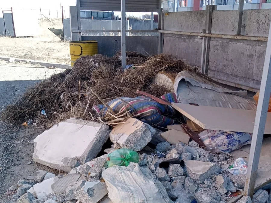 Аким Усть-Каменогорска поручил обеспечить своевременный вывоз мусора