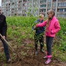 В Риддере предлагают создать лесной кластер