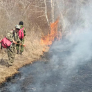 В ВКО произошёл степной пожар