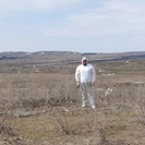 Плановый сбор клещей провели в ВКО