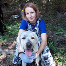 В ВКО проводили на заслуженный отдых легендарного лабрадора Виллингтона