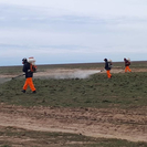 Жителей Усть-Каменогорска предупредили о противоклещевых обработках