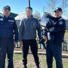 В одном из сел ВКО на улице обнаружили двухлетнего ребенка 