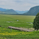 В ВКО почти 50 тысяч гектаров находятся в зоне риска по саранче