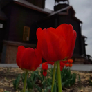 Завтра Благодатный огонь будет доставлен в Покровский собор Усть-Каменогорска