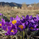 Какая погода ожидается в ВКО, в том числе в Усть-Каменогорске, в выходные?