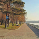 Привести в порядок набережную Славского и проспект Ауэзова поручил аким Усть-Каменогорска