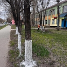 Акимат ВКО: завтра в субботниках примут участие около 100 тысяч человек 