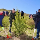 Усть-Каменогорску не хватает зелени, но к 2035 году её количество обещают утроить