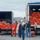 В Усть-Каменогорске на оптовке завышали цены на овощи