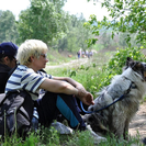 В Усть-Каменогорске владельцев собак приглашают в массовый поход 